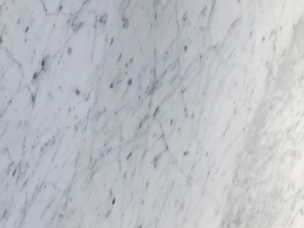 White Carrara 12 x 24 Honed Lot 7040