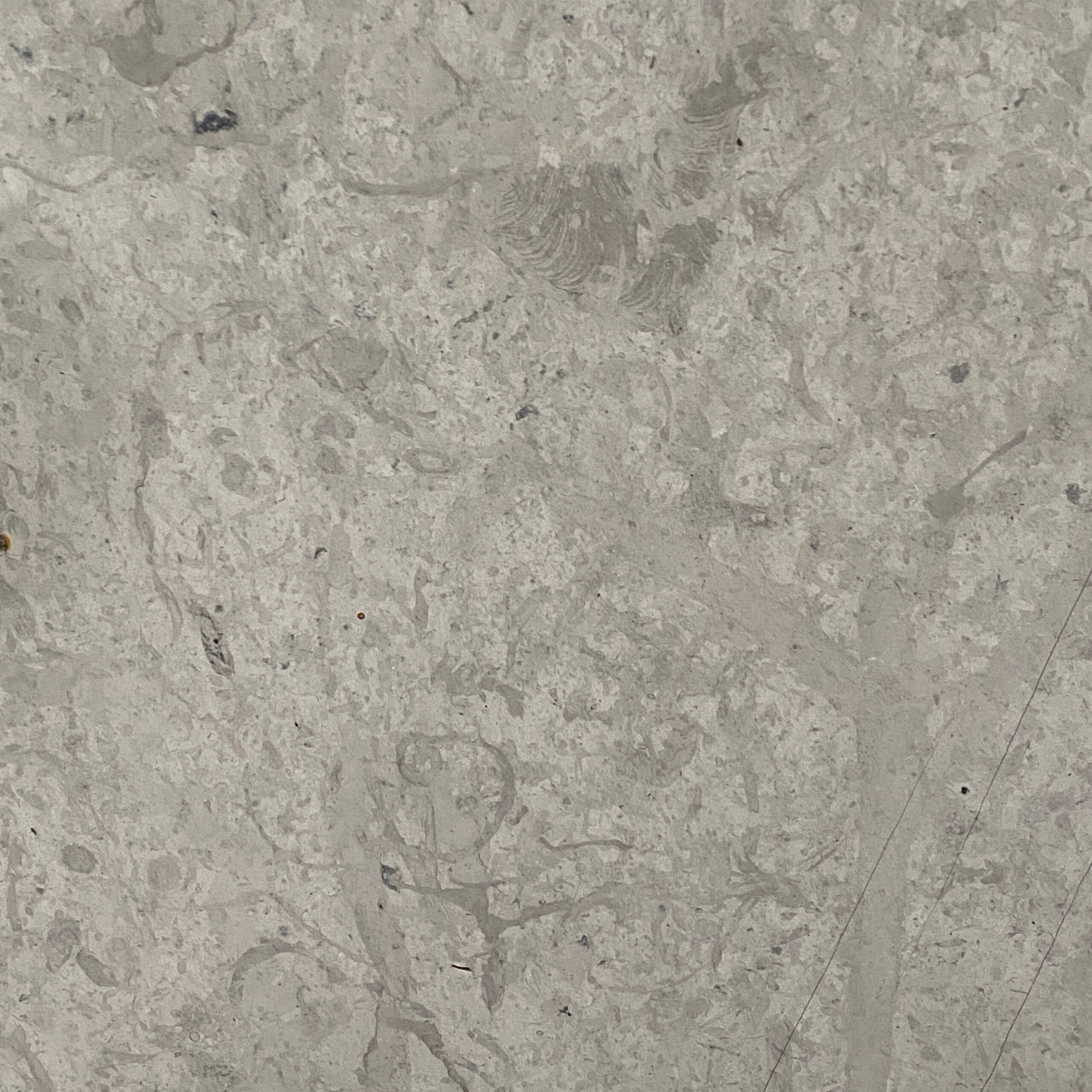 Sky Grey Limestone - This subdued beige limestone is perfect for any application. Subtle flecks of grey and white meld together in this nice surface. Sky Grey - Lot 2257 | Arena Stone NJ Arena stone nj sky grey lot 2257 2cm honed sky grey lot 2257