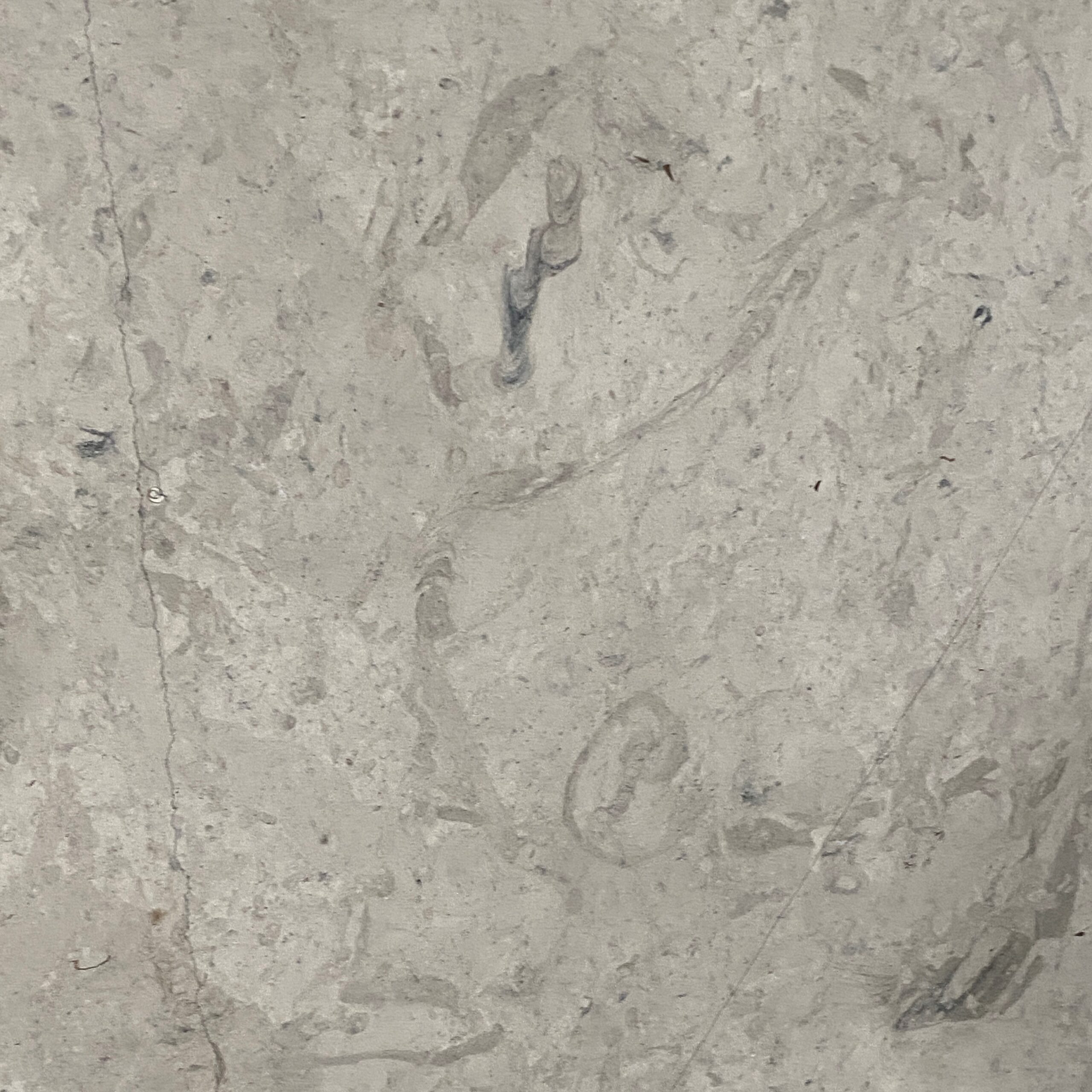 Sky Grey Limestone - This subdued beige limestone is perfect for any application. Subtle flecks of grey and white meld together in this nice surface. Sky Grey - Lot 2257 2cm Honed | Arena Stone NJ Arena stone nj sky grey lot 2257 2cm honed sky grey lot 2257 2cm honed