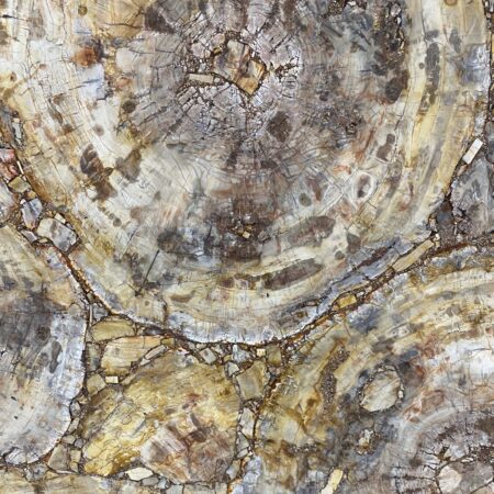Petrified Wood Brown - No Lot