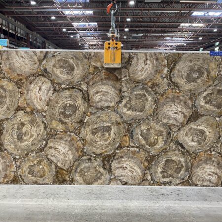 Petrified Wood Brown - No Lot 2cm Polished, 120" x 60" [Slab #103]