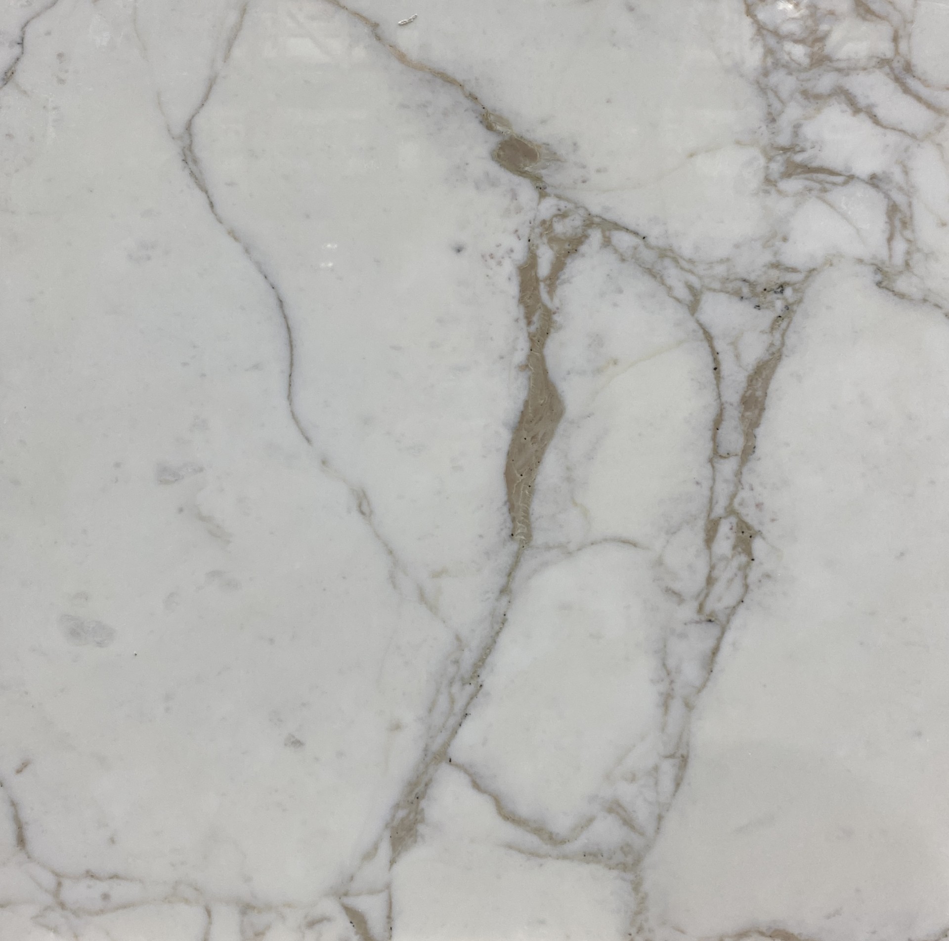 Natural Stone Tile Collection Calacatta Gold Marble Tile – Lot 0002B, 24×24 Calacatta Gold Marble Tile - Lot 0002B, 24x24 | Arena Stone NJ Arena stone nj |calacatta gold marble tile lot 0002b 24×24 calacatta gold marble tile lot 0002b 24x24