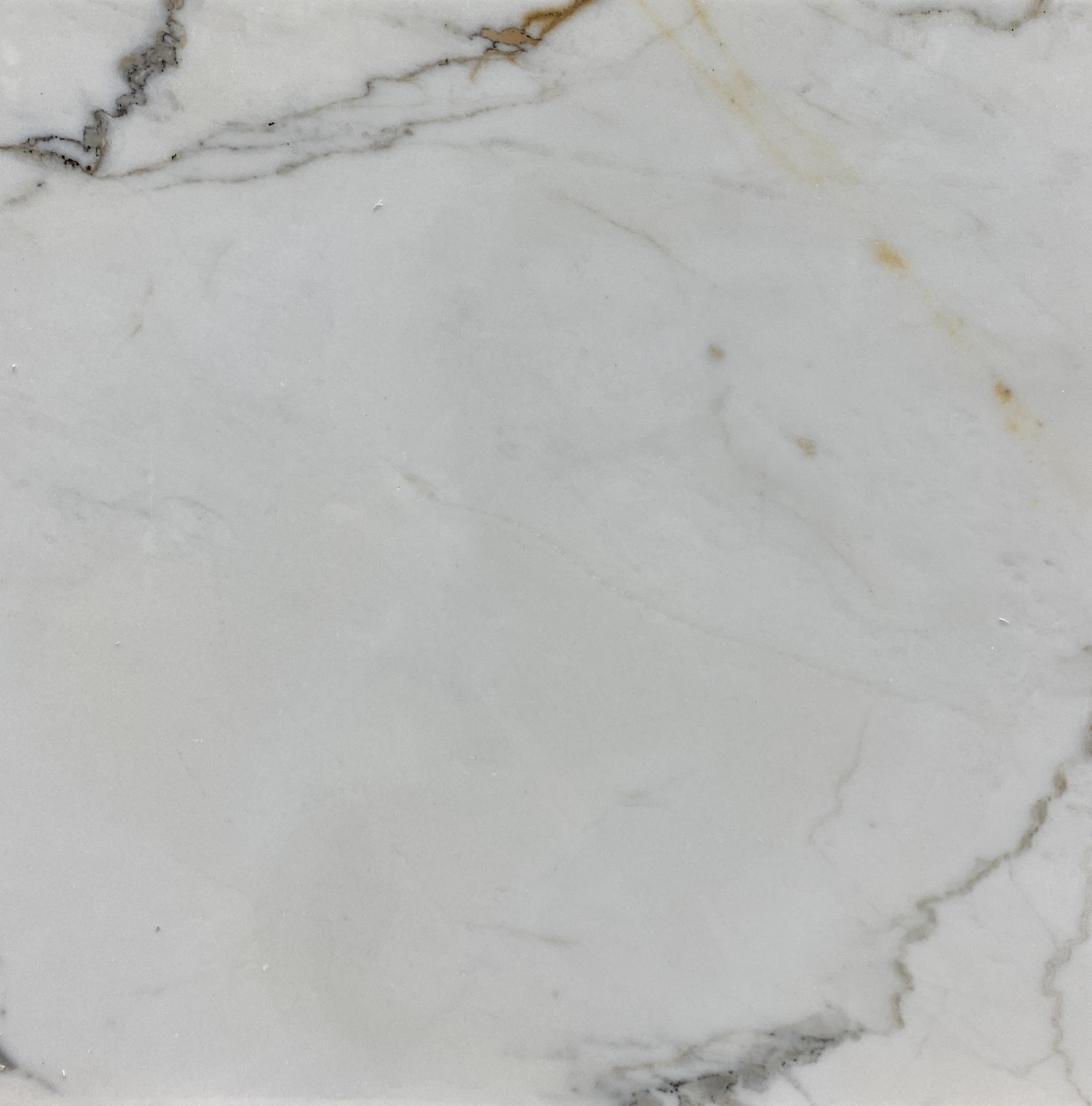 Beige and Creamy Calacatta Marble Tile - Lot 7102, 12x12 | Arena Stone NJ Arena stone nj calacatta marble tile lot 7102 12×12 calacatta marble tile lot 7102 12x12