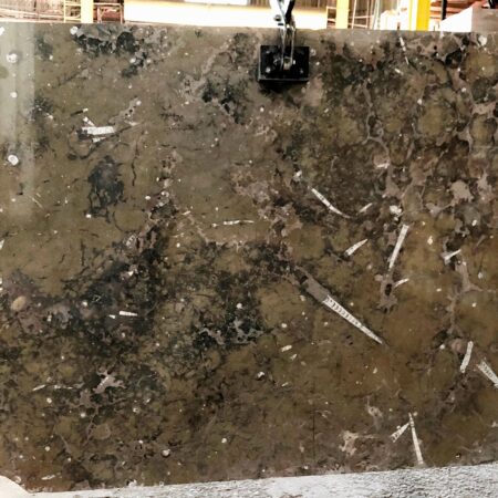 Fossil Brown- Lot A4402 2cm Polished, 97x58