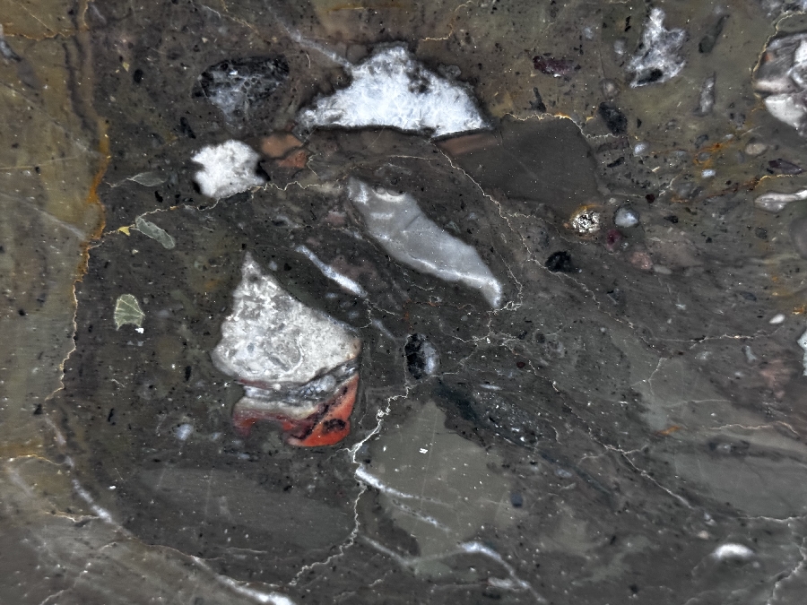 Fossil brown  lot a4796 2cm polished 107x62