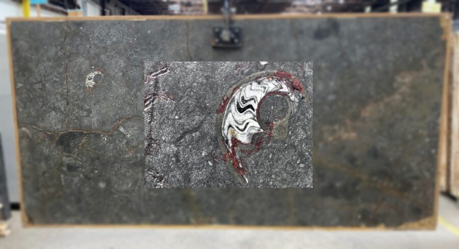 Fossil brown  lot a4798 15 2cm flamed 104x51