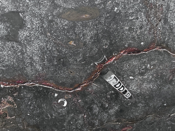 Fossil Brown- Lot A4798 #15 2cm Flamed, 104x51