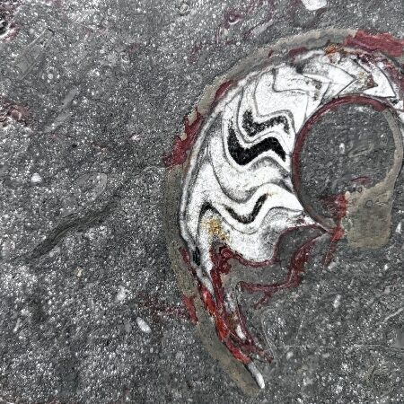 Fossil Brown- Lot A4798 #15 2cm Flamed, 104x51