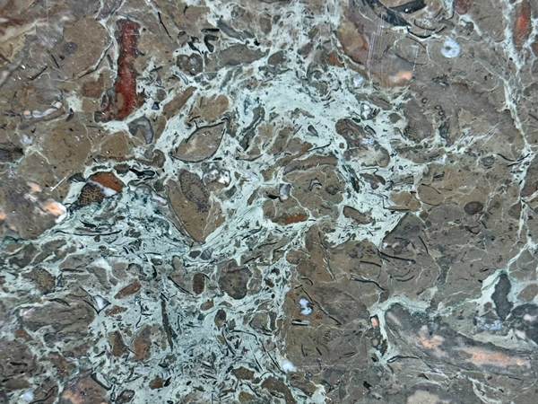 Arena stone nj gris paloma  lot a3006 2cm polished gris paloma 2cm polished lot a3006 1