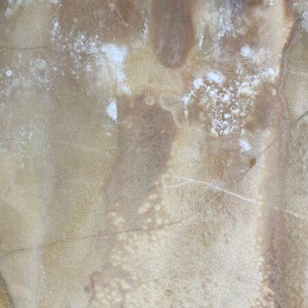 Arena stone nj honey onyx  lot a5289 2cm honed honey onyx   lot a5289