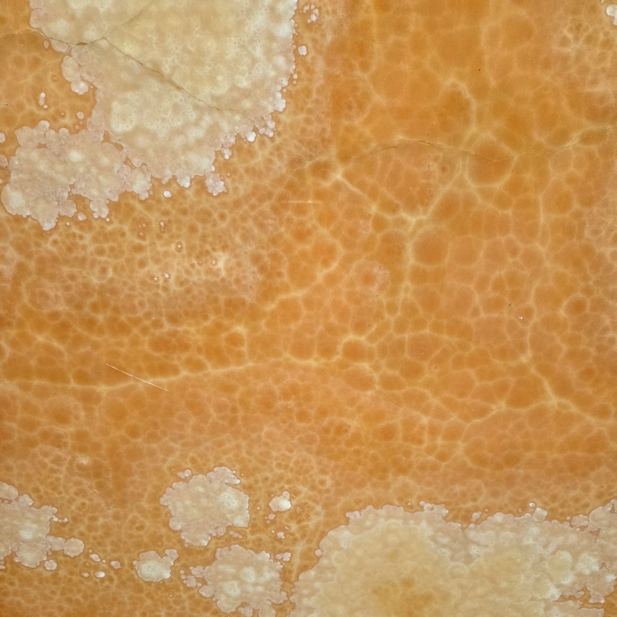 Honey Onyx Honey Onyx - Lot 2574 | Arena Stone NJ Arena stone nj honey onyx lot 2574 2cm polished honey onyx lot 2574