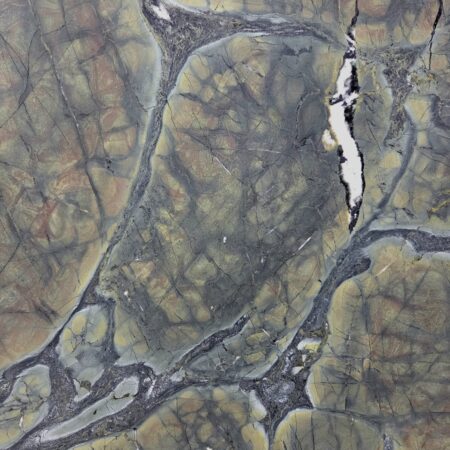 Vitoria Regia - Lot 2554