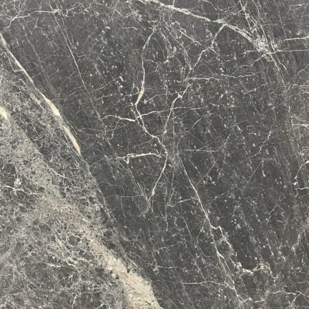 Amazing Grey - Lot 2462