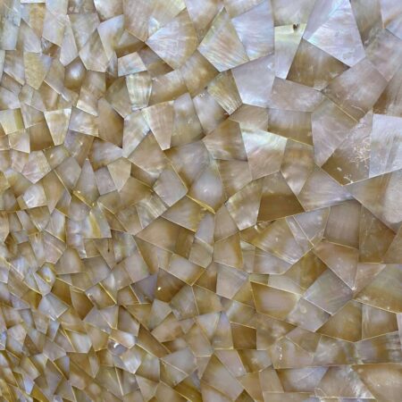 Beige Mother of Pearl Semiprecious - Lot 2487