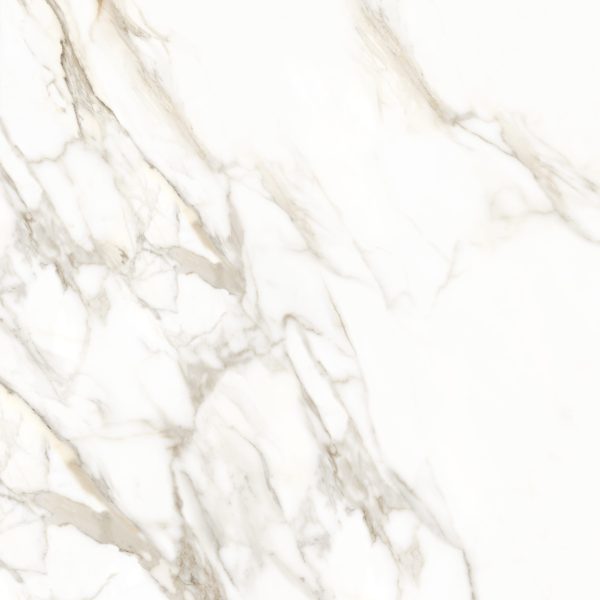 Calacatta Dorato - AP309