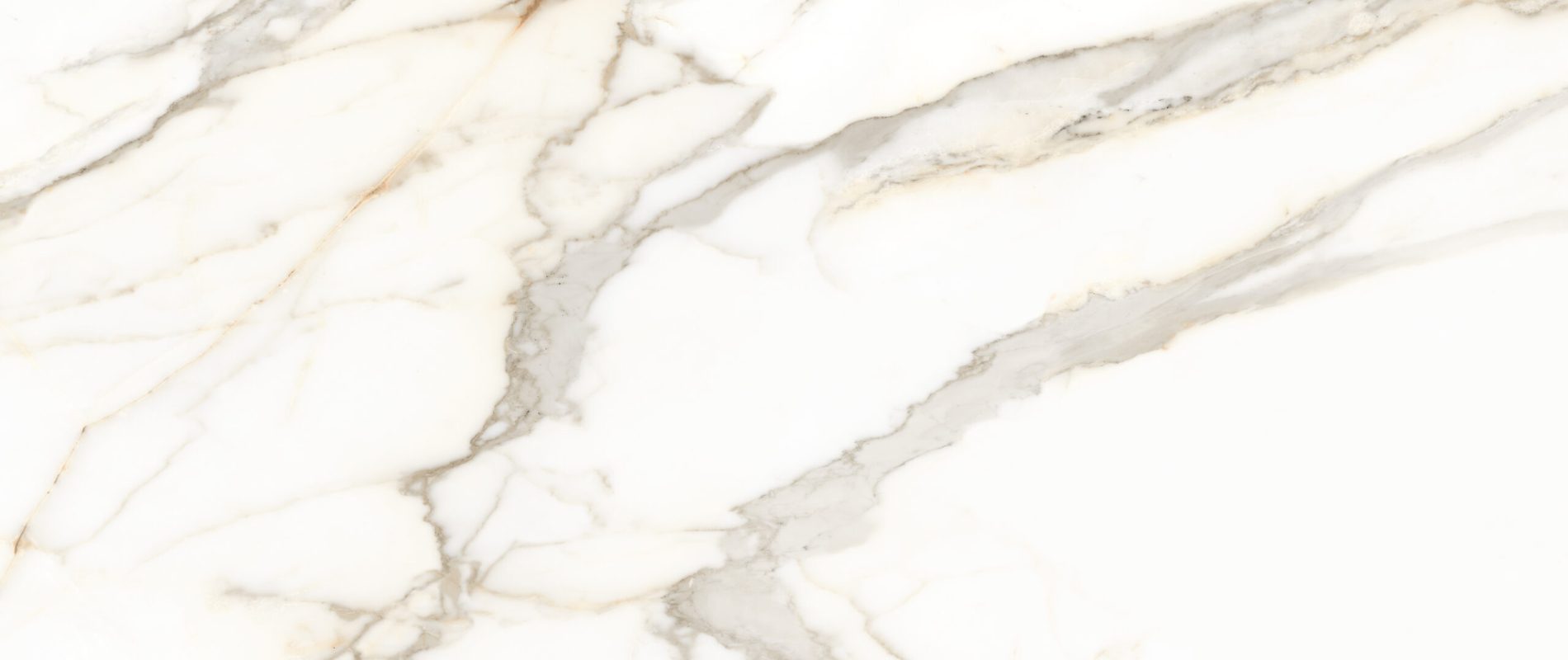 CALACATTA DORATO - 24" X 48" [Face 1]