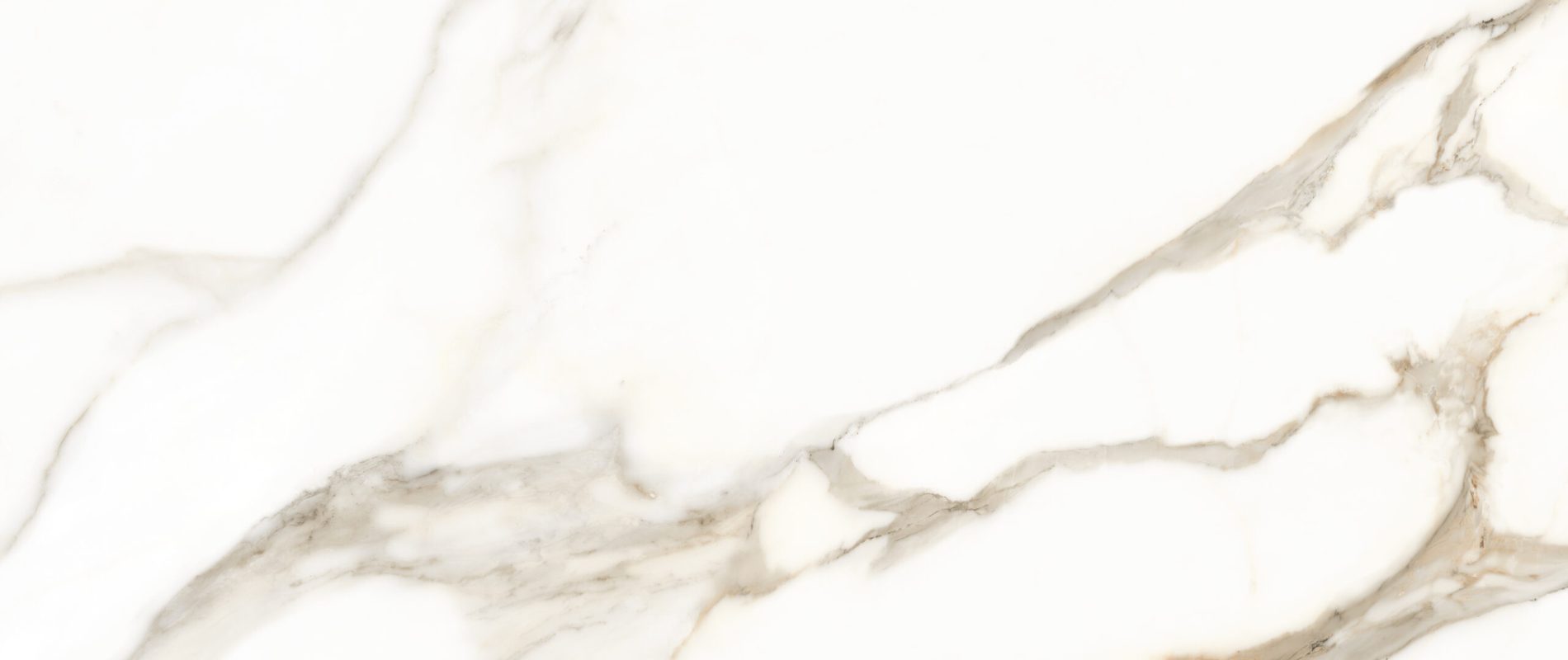 CALACATTA DORATO - 24" X 48" [Face 4]