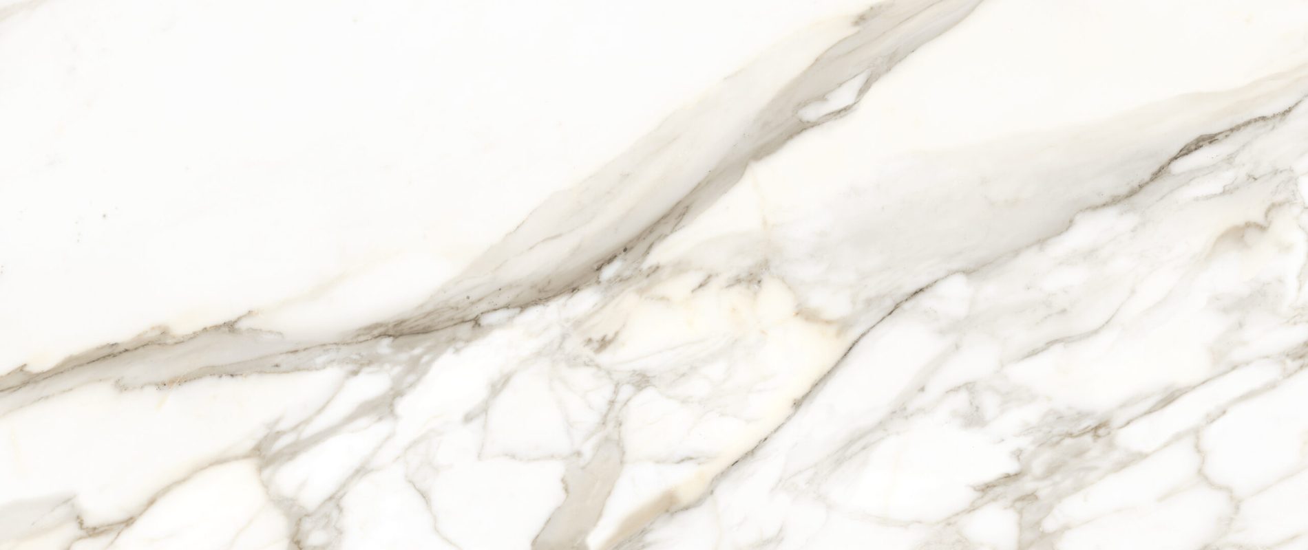 CALACATTA DORATO - 24" X 48" [Face 6]