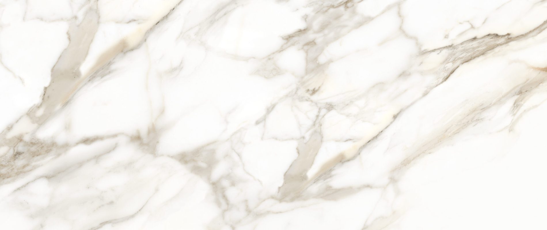 CALACATTA DORATO - 24" X 48" [Face 7]