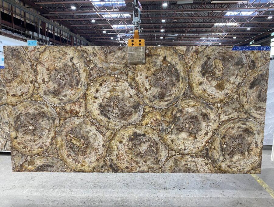 Arena Stone NJ Petrified Wood Brown Semiprecious – Lot 2523, 2cm Polished Petrified Wood Brown - No Lot 2cm Polished, 119" x 59" [Slab #102]