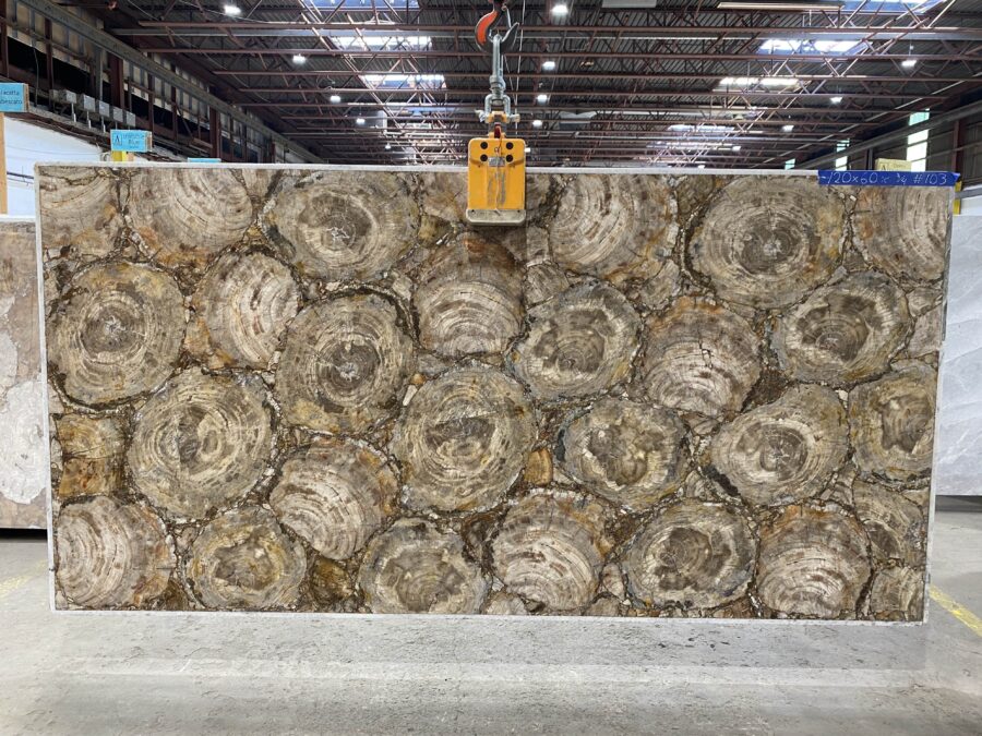 Arena Stone NJ Petrified Wood Brown Semiprecious – Lot 2523, 2cm Polished Petrified Wood Brown - No Lot 2cm Polished, 120" x 60" [Slab #103]