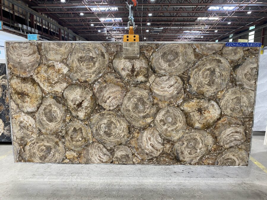 Arena Stone NJ Petrified Wood Brown Semiprecious – Lot 2523, 2cm Polished Petrified Wood Brown - No Lot 2cm Polished, 120" x 60" [Slab #105]
