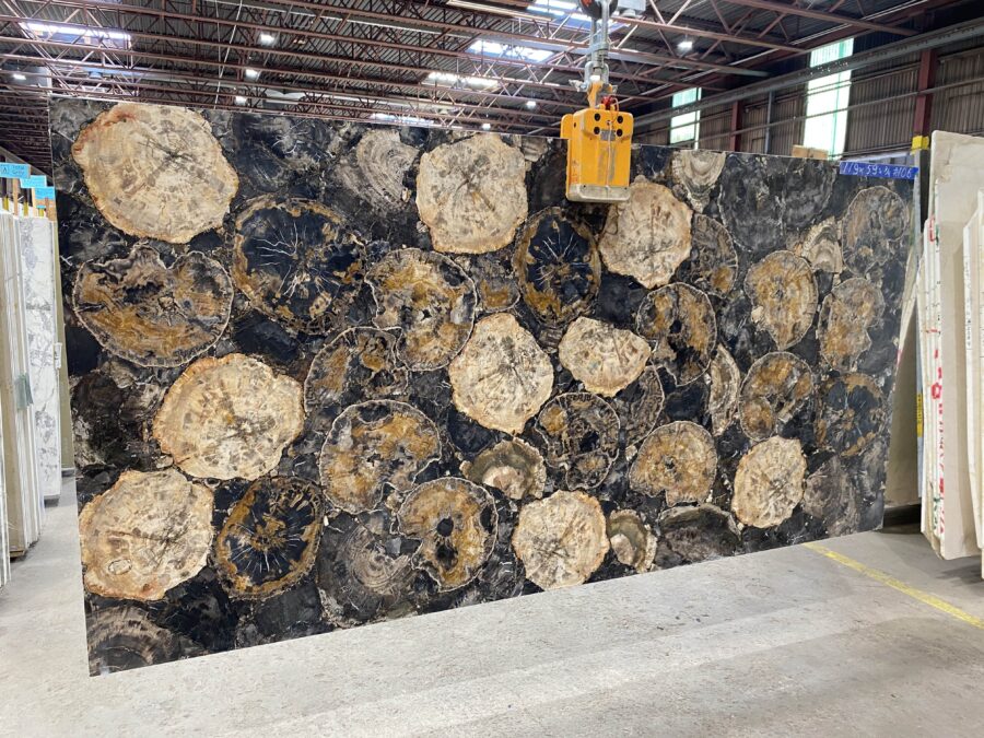 Arena Stone NJ Petrified Wood Black – Lot 2522, 2cm Polished Petrified Wood Black - No Lot 2cm Polished, 119" x 59" [Slab #106]