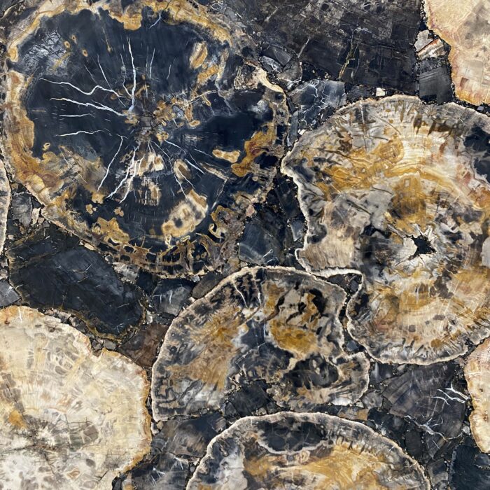 Arena Stone NJ Petrified Wood Black – Lot 2522, 2cm Polished Petrified Wood Black - No Lot