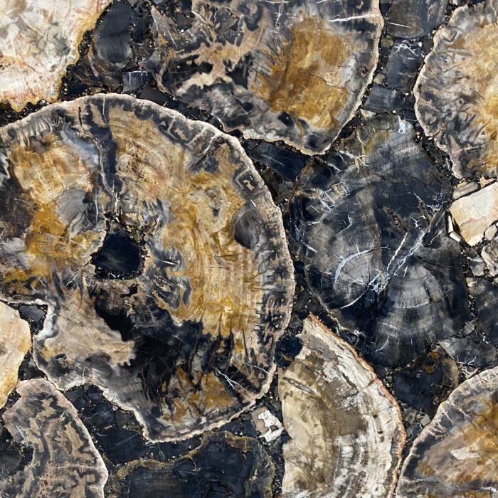 Arena Stone NJ Petrified Wood Black – Lot 2522, 2cm Polished Petrified Wood Black - No Lot