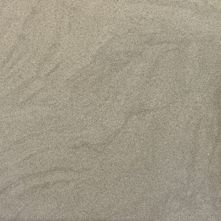 Bateig Beige Lot T1761 12x12 Honed