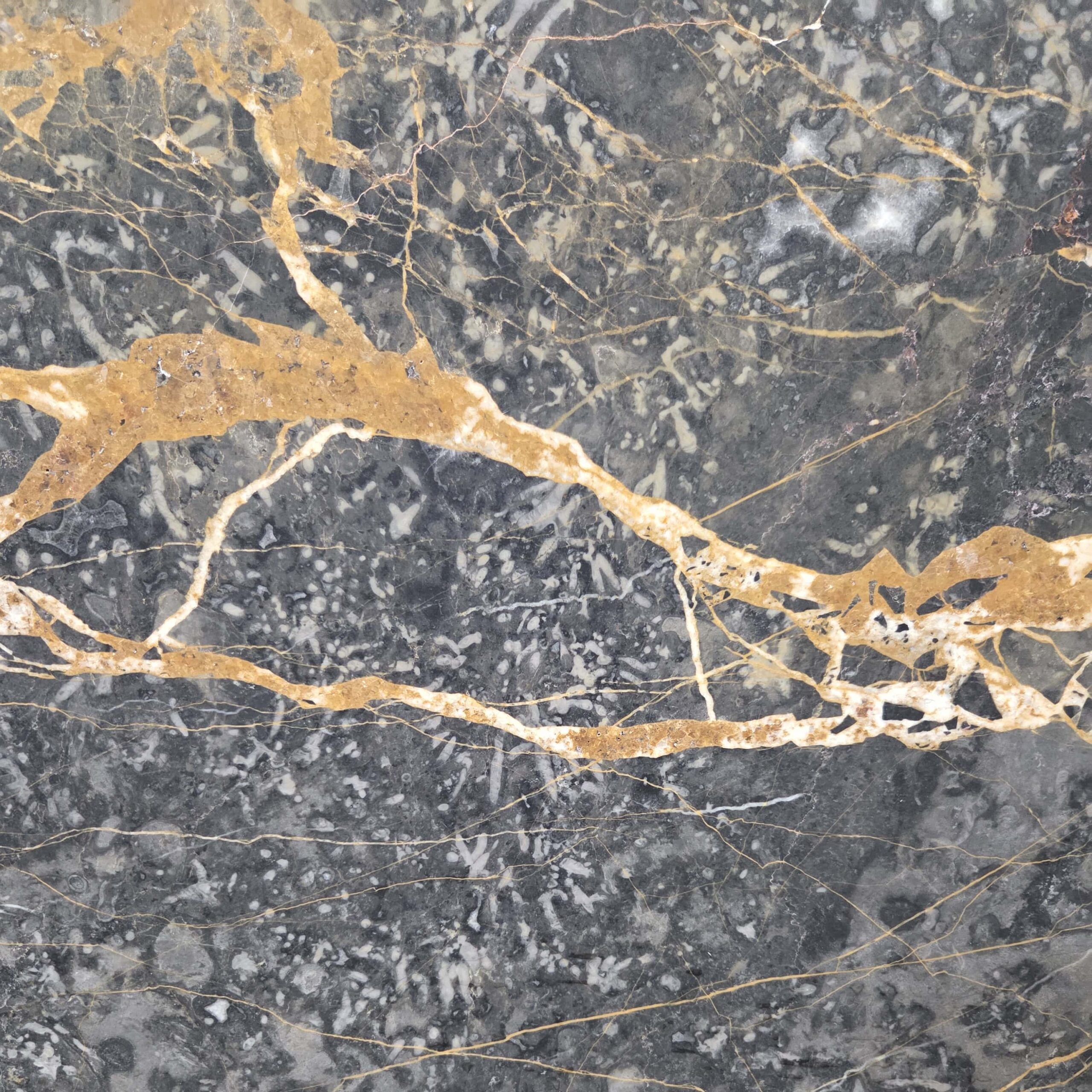 Black canvas, gold artistry. Our Black Port St. Laurent brings a bold, luxurious aesthetic to your next design, while the honed finish brings raw elegance. Black Port Laurent - Lot 2610 | Arena Stone NJ Arena stone nj black port laurent lot 2610 2cm honed black port laurent lot 2610