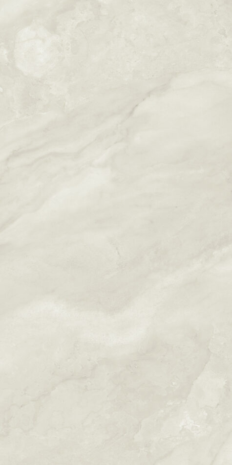 Arena stone nj domiziano  ap606 9mm matte domiziano   24 x 48 face 2