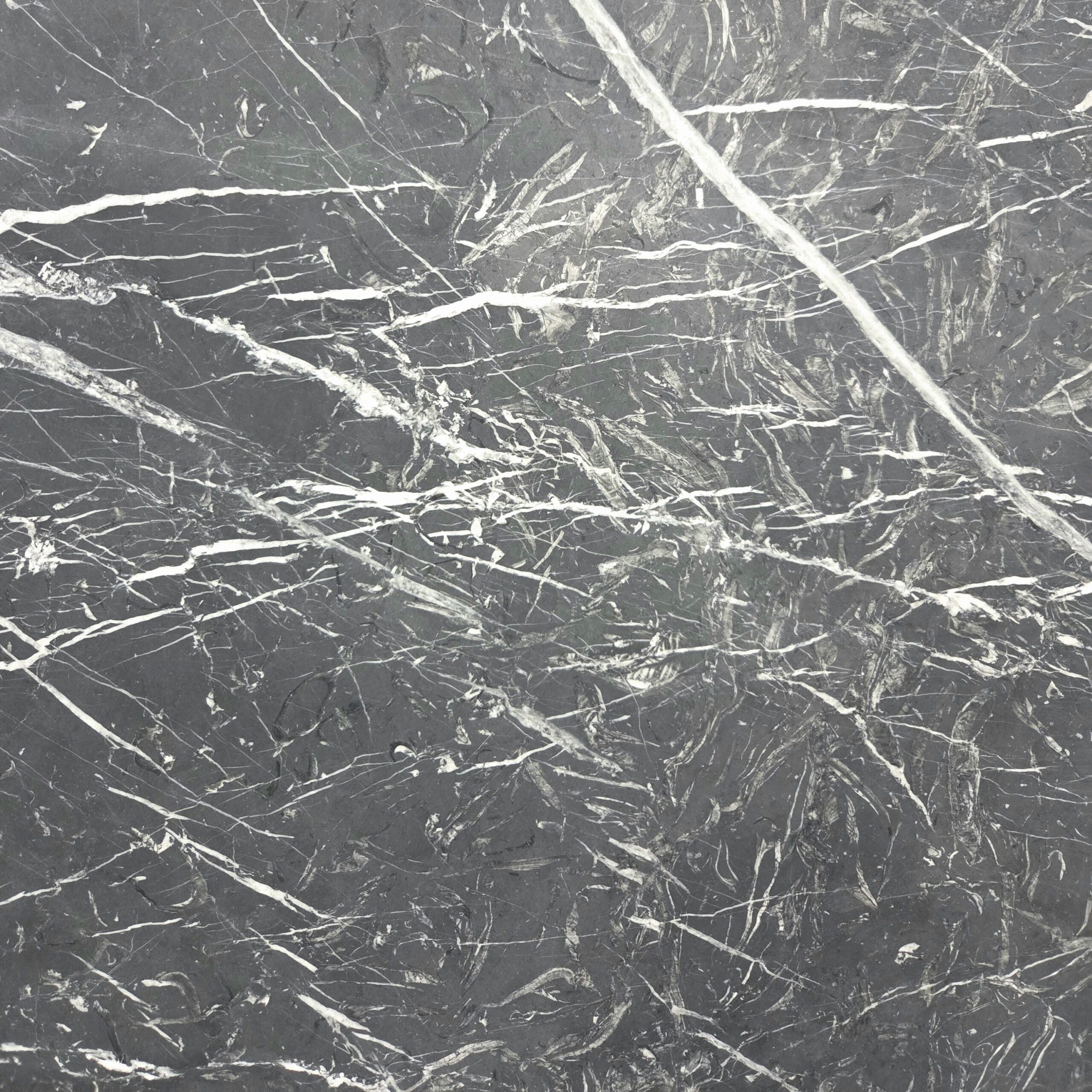 Defined by its rich white veining and timeless black surface, our honed Nero Marquina provides classic elegance that goes a long way in complementing any design. Nero Marquina - Lot 2616 | Arena Stone NJ Arena stone nj nero marquina lot 2616 2cm honed nero marquina lot 2616