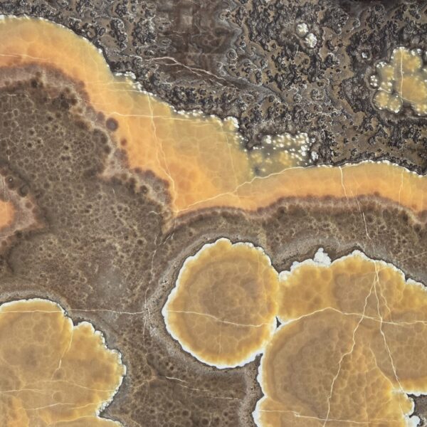 Arena Stone NJ Onice Nuvolato Onyx – Lot 2555, 2cm Polished Onice Nuvolato Onyx - Lot 2555