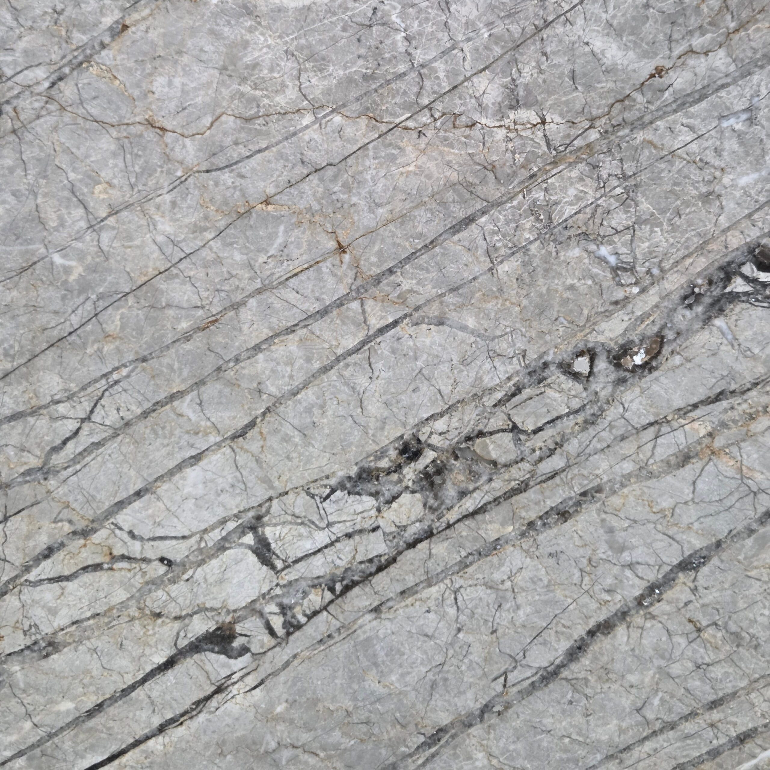 Silver Roots marble features a sophisticated blend of soft silver, warm grey, and subtle taupe, highlighted by fine linear veining and natural surface movement. Silver Roots - Lot 2630 | Arena Stone NJ Arena stone nj silver roots lot 2630 2cm polished silver roots lot 2630