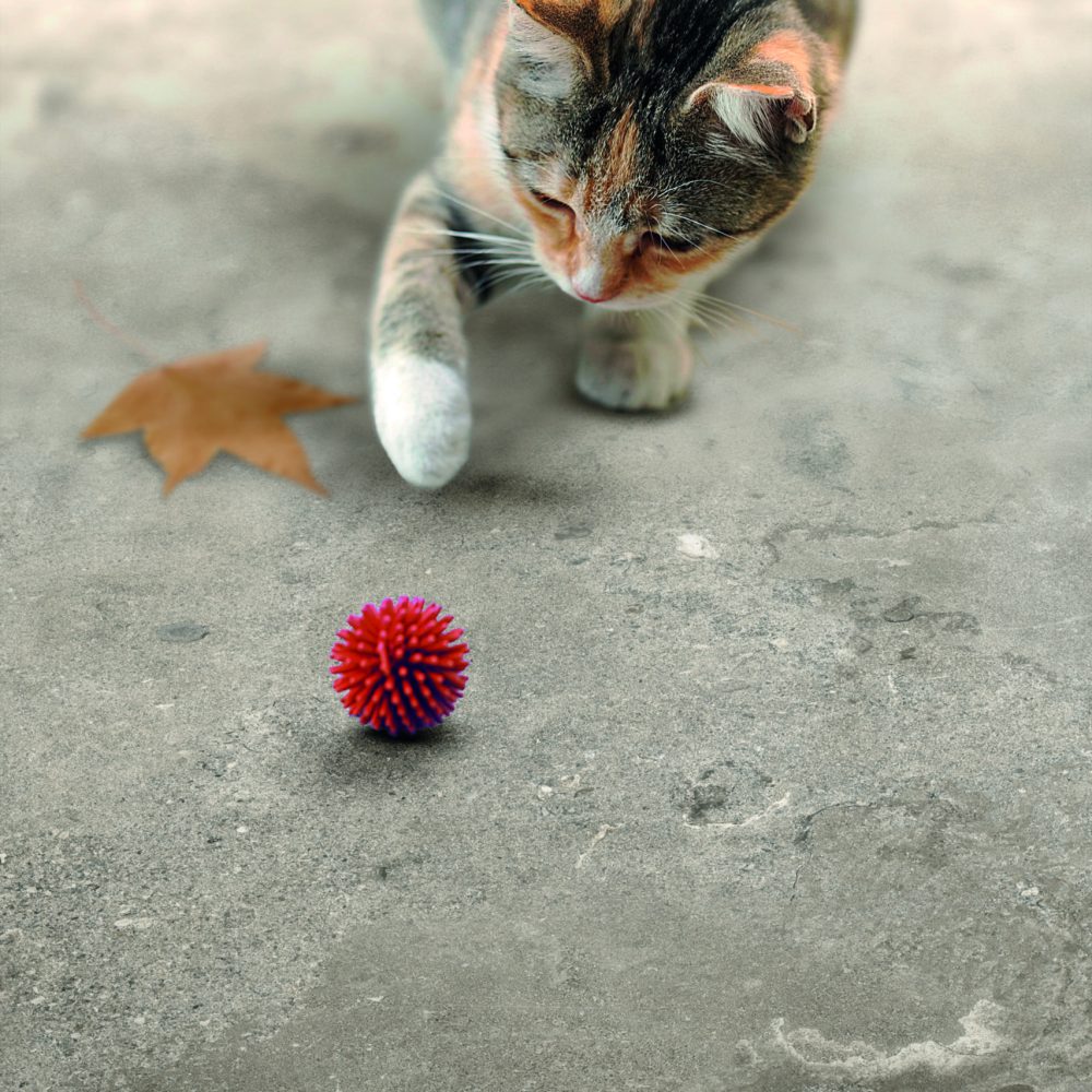 Outdoor pavers Deep Stone Series